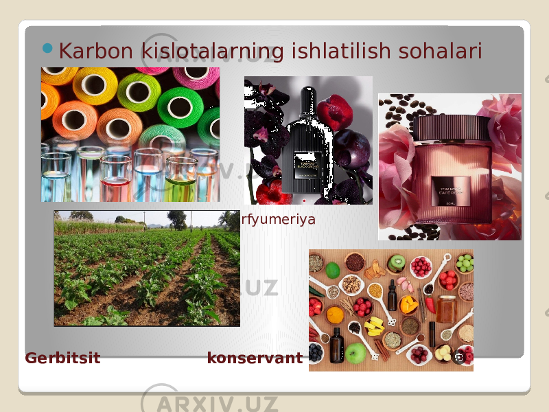  Karbon kislotalarning ishlatilish sohalari parfyumeriya Gerbitsit konservant 