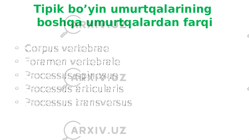 • Corpus vertebrae • Foramen vertebrale • Processus spinosus • Processus articularis • Processus transversus Tipik bo’yin umurtqalarining boshqa umurtqalardan farqi 