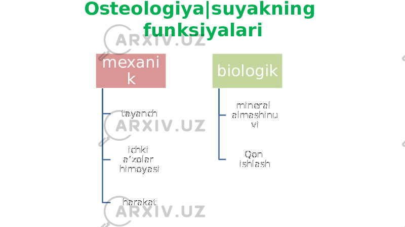 mexani k tayanch ichki a’zolar himoyasi harakat biologik mineral almashinu vi Qon ishlashOsteologiya|suyakning funksiyalari 