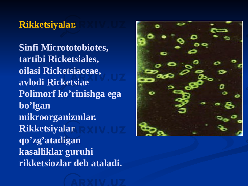 Rikketsiyalar. Sinfi Micrototobiotes, tartibi Ricketsiales, oilasi Ricketsiaceae, avlodi Ricketsiae Polimorf koʼrinishga ega boʼlgan mikroorganizmlar. Rikketsiyalar qoʼzgʼatadigan kasalliklar guruhi rikketsiozlar deb ataladi. 