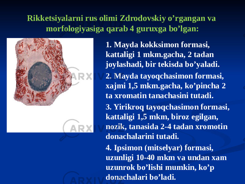 Rikketsiyalarni rus olimi Zdrodovskiy oʼrgangan va morfologiyasiga qarab 4 guruxga boʼlgan: 1. Mayda kokksimon formasi, kattaligi 1 mkm.gacha, 2 tadan joylashadi, bir tekisda boʼyaladi. 2. Mayda tayoqchasimon formasi, xajmi 1,5 mkm.gacha, koʼpincha 2 ta xromatin tanachasini tutadi. 3. Yirikroq tayoqchasimon formasi, kattaligi 1,5 mkm, biroz egilgan, nozik, tanasida 2-4 tadan xromotin donachalarini tutadi. 4. Ipsimon (mitselyar) formasi, uzunligi 10-40 mkm va undan xam uzunrok boʼlishi mumkin, koʼp donachalari boʼladi. 