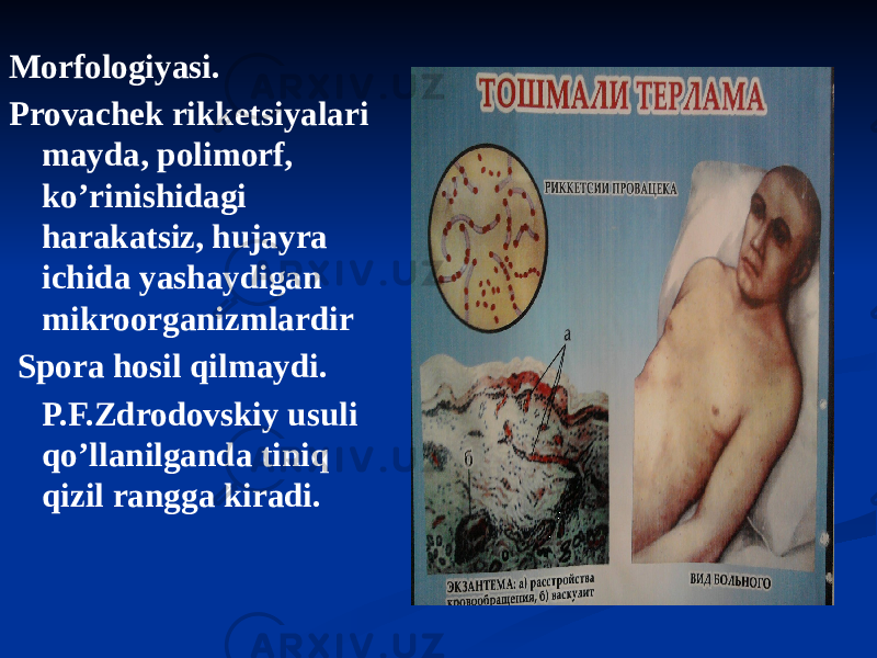 Morfologiyasi. Provachek rikketsiyalari mayda, polimorf, koʼrinishidagi harakatsiz, hujayra ichida yashaydigan mikroorganizmlardir Spora hosil qilmaydi. P.F.Zdrodovskiy usuli qoʼllanilganda tiniq qizil rangga kiradi. 