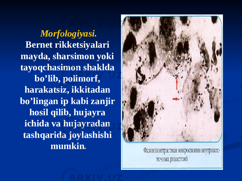 Morfologiyasi. Bernet rikketsiyalari mayda, sharsimon yoki tayoqchasimon shaklda boʼlib, polimorf, harakatsiz, ikkitadan boʼlingan ip kabi zanjir hosil qilib, hujayra ichida va hujayradan tashqarida joylashishi mumkin . 