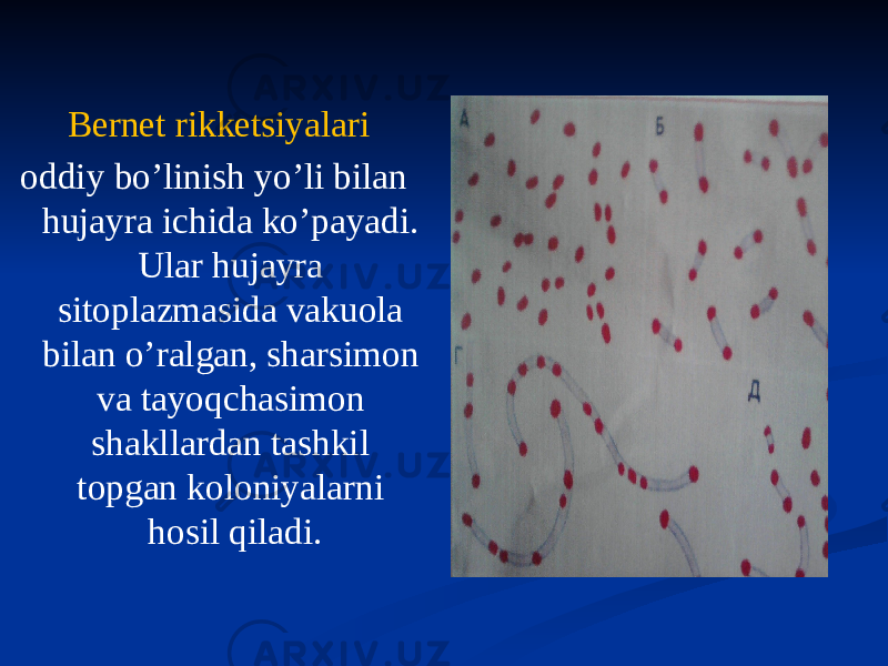 Bernet rikketsiyalari oddiy boʼlinish yoʼli bilan hujayra ichida koʼpayadi. Ular hujayra sitoplazmasida vakuola bilan oʼralgan, sharsimon va tayoqchasimon shakllardan tashkil topgan koloniyalarni hosil qiladi. 