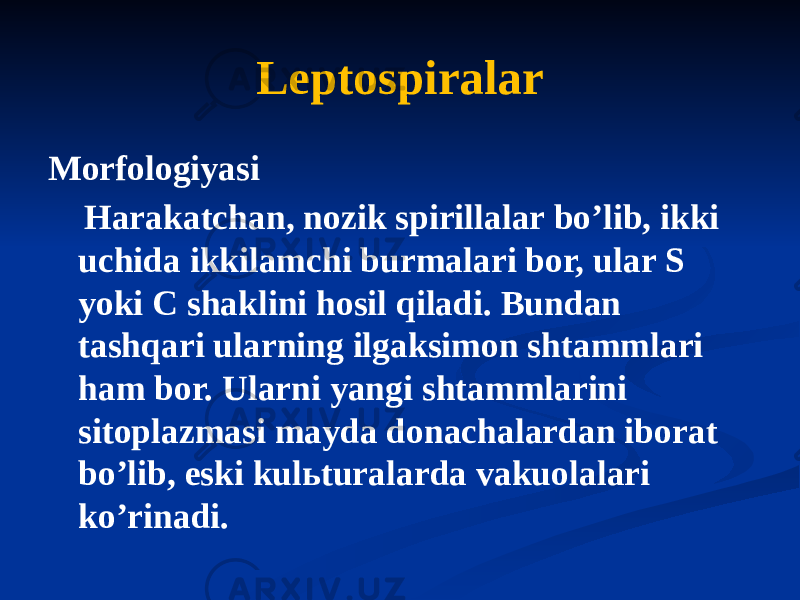 Leptospiralar Morfologiyasi Harakatchan, nozik spirillalar boʼlib, ikki uchida ikkilamchi burmalari bor, ular S yoki C shaklini hosil qiladi. Bundan tashqari ularning ilgaksimon shtammlari ham bor. Ularni yangi shtammlarini sitoplazmasi mayda donachalardan iborat boʼlib, eski kulьturalarda vakuolalari koʼrinadi. 