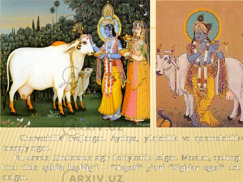  Chorvachilik rivojlangan. Ayniqsa, yilqichilik va qoramolchilik taraqqiy etgan. Bu davrda Hindistonda sigir ilohiylashib bolgan. Masalan, qadimgi hind tilida qabila boshlig’i – “Gopati” y’ani “Sigirlar egasi” deb atalgan. 