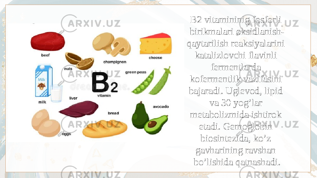 B2 vitamininig fosforli birikmalari oksidlanish- qaytarilish reaksiyalarini katalizlovchi flavinli fermentlarda kofermentlik vazifasini bajaradi. Uglevod, lipid va 30 yog’lar metabolizmida ishtirok etadi. Gemoglobin biosintezida, ko’z gavharining ravshan bo’lishida qatnashadi. 