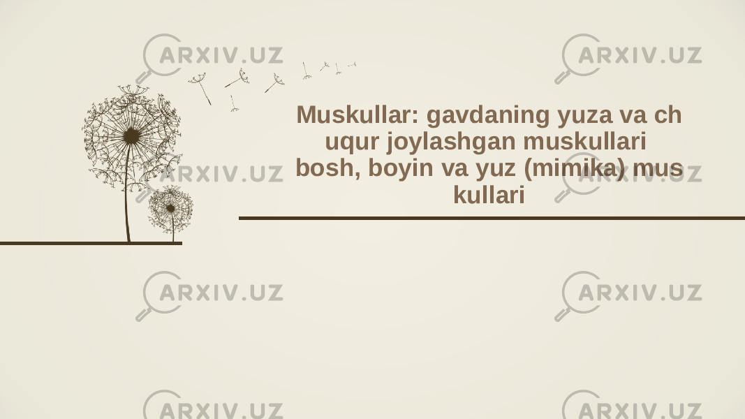 Muskullar: gavdaning yuza va ch uqur joylashgan muskullari bosh, boyin va yuz (mimika) mus kullari 