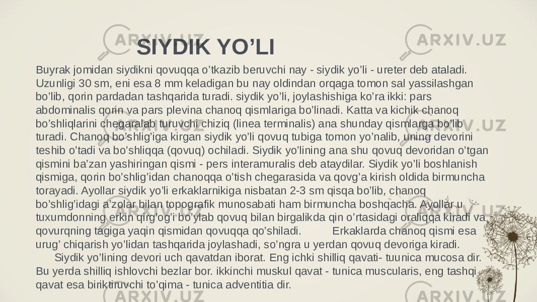 SIYDIK YO’LI Buyrak jomidan siydikni qovuqqa o’tkazib beruvchi nay - siydik yo’li - ureter deb ataladi. Uzunligi 30 sm, eni esa 8 mm keladigan bu nay oldindan orqaga tomon sal yassilashgan bo’lib, qorin pardadan tashqarida turadi. siydik yo’li, joylashishiga ko’ra ikki: pars abdominalis qorin va pars plevina chanoq qismlariga bo’linadi. Katta va kichik chanoq bo’shliqlarini chegaralab turuvchi chiziq (linea terminalis) ana shunday qismlarga bo’lib turadi. Chanoq bo’shlig’iga kirgan siydik yo’li qovuq tubiga tomon yo’nalib, uning devorini teshib o’tadi va bo’shliqqa (qovuq) ochiladi. Siydik yo’lining ana shu qovuq devoridan o’tgan qismini ba’zan yashiringan qismi - pers interamuralis deb ataydilar. Siydik yo’li boshlanish qismiga, qorin bo’shlig’idan chanoqqa o’tish chegarasida va qovg’a kirish oldida birmuncha torayadi. Ayollar siydik yo’li erkaklarnikiga nisbatan 2-3 sm qisqa bo’lib, chanoq bo’shlig’idagi a’zolar bilan topografik munosabati ham birmuncha boshqacha. Ayollar u tuxumdonning erkin qirg’og’i bo’ylab qovuq bilan birgalikda qin o’rtasidagi oraliqqa kiradi va qovurqning tagiga yaqin qismidan qovuqqa qo’shiladi. Erkaklarda chanoq qismi esa urug’ chiqarish yo’lidan tashqarida joylashadi, so’ngra u yerdan qovuq devoriga kiradi. Siydik yo’lining devori uch qavatdan iborat. Eng ichki shilliq qavati- tuunica mucosa dir. Bu yerda shilliq ishlovchi bezlar bor. ikkinchi muskul qavat - tunica muscularis, eng tashqi qavat esa biriktiruvchi to’qima - tunica adventitia dir. 