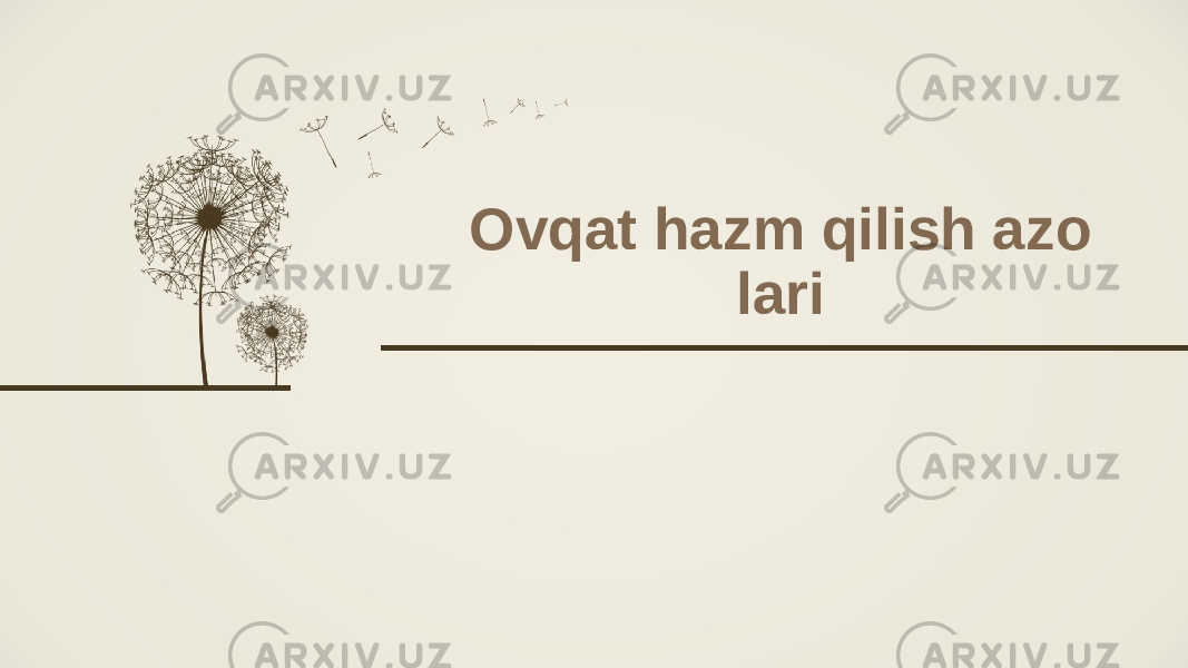 Ovqat hazm qilish azo lari 