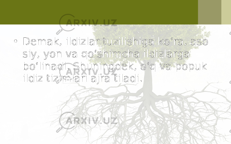 • Demak, ildizlar tuzilishiga ko‘ra, aso siy, yon va qo‘shimcha ildizlarga bo‘linadi. Shuningdek, o‘q va popuk ildiz tizimlari ajra tiladi. 