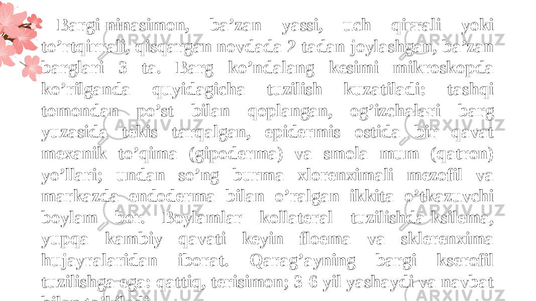 Bargi-ninasimon, ba’zan yassi, uch qirrali yoki to’rtqirrali, qisqargan novdada 2 tadan joylashgan, ba’zan barglari 3 ta. Barg ko’ndalang kesimi mikroskopda ko’rilganda quyidagicha tuzilish kuzatiladi: tashqi tomondan po’st bilan qoplangan, og’izchalari barg yuzasida tekis tarqalgan, epidermis ostida bir qavat mexanik to’qima (gipoderma) va smola mum (qatron) yo’llari; undan so’ng burma xlorenximali mezofil va markazda endoderma bilan o’ralgan ikkita o’tkazuvchi boylam bor. Boylamlar kollateral tuzilishda-ksilema, yupqa kambiy qavati keyin floema va sklerenxima hujayralaridan iborat. Qarag’ayning bargi kserofil tuzilishga ega: qattiq, terisimon; 3-6 yil yashaydi va navbat bilan to’kiladi. 