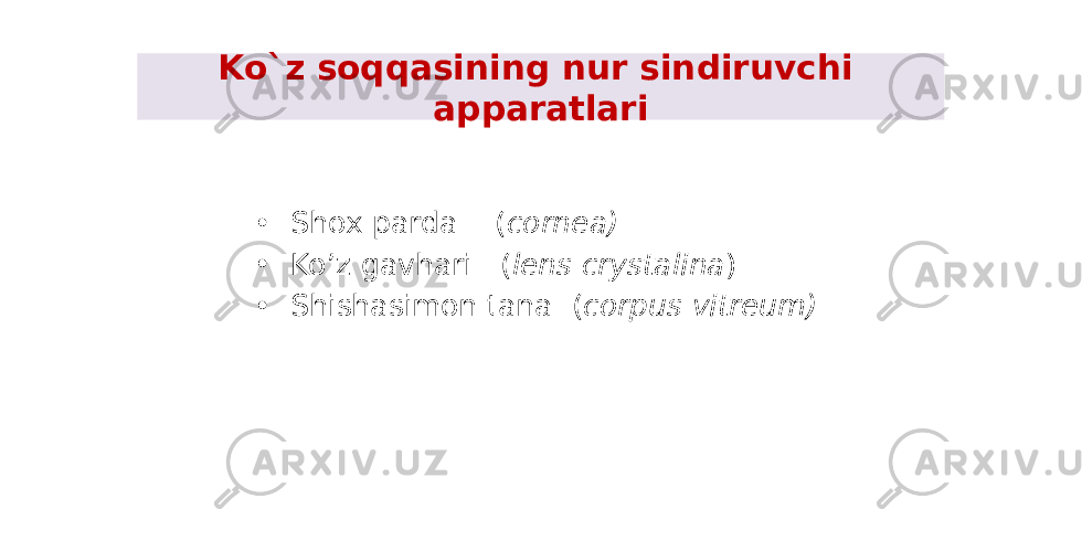 Ko`z soqqasining nur sindiruvchi apparatlari • Shox parda ( cornea) • Ko’z gavhari ( lens crystalina ) • Shishasimon tana ( corpus vitreum) 