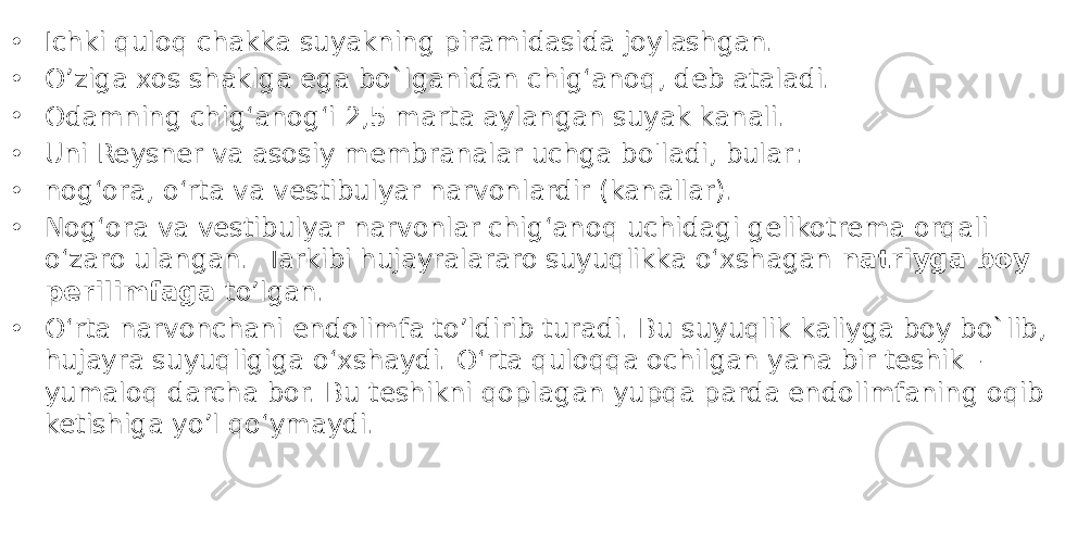 • Ichki quloq chakka suyakning piramidasida joylashgan. • O’ziga xos shaklga ega bo`lganidan chig‘anoq, deb ataladi. • Odamning chig‘anog‘i 2,5 marta aylangan suyak kanali. • Uni Reysner va asosiy membranalar uchga bo&#39;ladi, bular: • nog‘ora, o‘rta va vestibulyar narvonlardir (kanallar). • Nog‘ora va vestibulyar narvonlar chig‘anoq uchidagi gelikotrema orqali o‘zaro ulangan. Tarkibi hujayralararo suyuqlikka o‘xshagan natriyga boy perilimfaga to’lgan. • O‘rta narvonchani endolimfa to’ldirib turadi. Bu suyuqlik kaliyga boy bo`lib, hujayra suyuqligiga o‘xshaydi. O‘rta quloqqa ochilgan yana bir teshik - yumaloq darcha bor. Bu teshikni qoplagan yupqa parda endolimfaning oqib ketishiga yo’l qo‘ymaydi. 