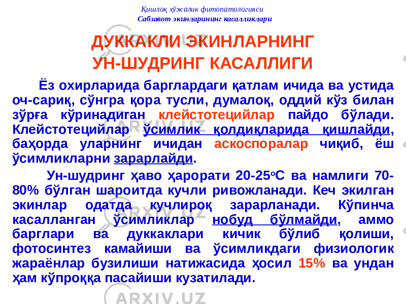 Қишлоқ хўжалик фитопатологияси Сабзавот экинларининг касалликлари ДУККАКЛИ ЭКИНЛАРНИНГ УН-ШУДРИНГ КАСАЛЛИГИ Ёз охирларида барглардаги қатлам ичида ва устида оч-сариқ, сўнгра қора тусли, думалоқ, оддий кўз билан зўрға кўринадиган клейстотецийлар пайдо бўлади. Клейстотецийлар ўсимлик қолдиқларида қишлайди , баҳорда уларнинг ичидан аскоспоралар чиқиб, ёш ўсимликларни зарарлайди . Ун-шудринг ҳаво ҳарорати 20-25 о С ва намлиги 70- 80% бўлган шароитда кучли ривожланади. Кеч экилган экинлар одатда кучлироқ зарарланади. Кўпинча касалланган ўсимликлар нобуд бўлмайди , аммо барглари ва дуккаклари кичик бўлиб қолиши, фотосинтез камайиши ва ўсимликдаги физиологик жараёнлар бузилиши натижасида ҳосил 15% ва ундан ҳам кўпроққа пасайиши кузатилади. 