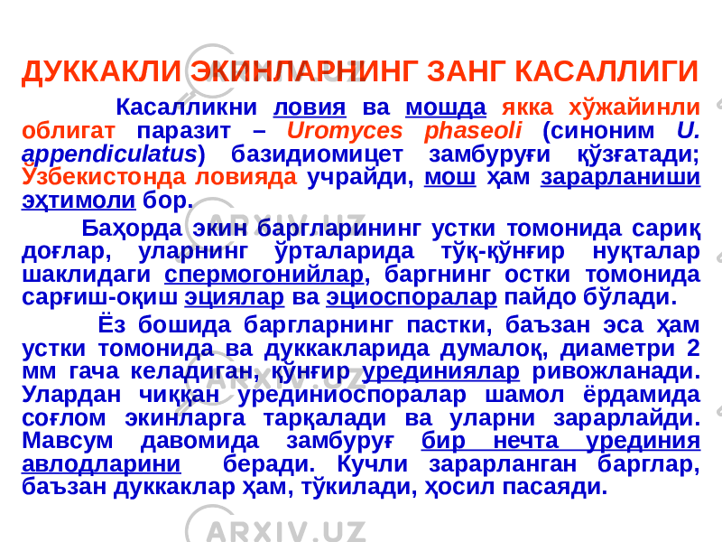 ДУККАКЛИ ЭКИНЛАРНИНГ ЗАНГ КАСАЛЛИГИ Касалликни ловия ва мошда якка хўжайинли облигат паразит – Uromyces phaseoli (синоним U. appendiculatus ) базидиомицет замбуруғи қўзғатади; Ўзбекистонда ловияда учрайди, мош ҳам зарарланиши эҳтимоли бор. Баҳорда экин баргларининг устки томонида сариқ доғлар, уларнинг ўрталарида тўқ-қўнғир нуқталар шаклидаги спермогонийлар , баргнинг остки томонида сарғиш-оқиш эциялар ва эциоспоралар пайдо бўлади. Ёз бошида баргларнинг пастки, баъзан эса ҳам устки томонида ва дуккакларида думалоқ, диаметри 2 мм гача келадиган, қўнғир урединиялар ривожланади. Улардан чиққан урединиоспоралар шамол ёрдамида соғлом экинларга тарқалади ва уларни зарарлайди. Мавсум давомида замбуруғ бир нечта урединия авлодларини беради. Кучли зарарланган барглар, баъзан дуккаклар ҳам, тўкилади, ҳосил пасаяди. 