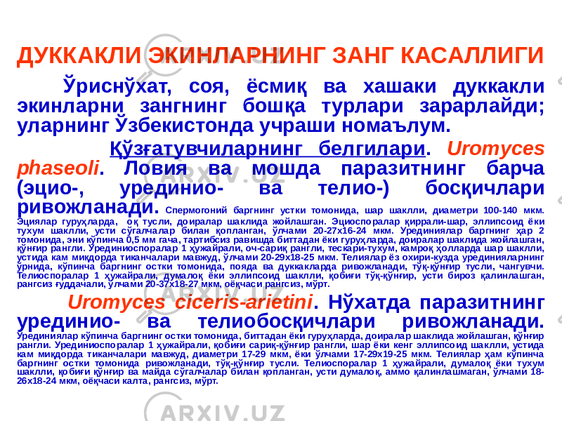 ДУККАКЛИ ЭКИНЛАРНИНГ ЗАНГ КАСАЛЛИГИ Ўриснўхат, соя, ёсмиқ ва хашаки дуккакли экинларни зангнинг бошқа турлари зарарлайди; уларнинг Ўзбекистонда учраши номаълум. Қўзғатувчиларнинг белгилари . Uromyces phaseoli . Ловия ва мошда паразитнинг барча (эцио-, урединио- ва телио-) босқичлари ривожланади. Спермогоний баргнинг устки томонида, шар шаклли, диаметри 100-140 мкм. Эциялар гуруҳларда, оқ тусли, доиралар шаклида жойлашган. Эциоспоралар қиррали-шар, эллипсоид ёки тухум шаклли, усти сўгалчалар билан қопланган, ўлчами 20-27х16-24 мкм. Урединиялар баргнинг ҳар 2 томонида, эни кўпинча 0,5 мм гача, тартибсиз равишда биттадан ёки гуруҳларда, доиралар шаклида жойлашган, қўнғир рангли. Урединиоспоралар 1 ҳужайрали, оч-сариқ рангли, тескари-тухум, камроқ ҳолларда шар шаклли, устида кам миқдорда тиканчалари мавжуд, ўлчами 20-29х18-25 мкм. Телиялар ёз охири-кузда урединияларнинг ўрнида, кўпинча баргнинг остки томонида, пояда ва дуккакларда ривожланади, тўқ-қўнғир тусли, чангувчи. Телиоспоралар 1 ҳужайрали, думалоқ ёки эллипсоид шаклли, қобиғи тўқ-қўнғир, усти бироз қалинлашган, рангсиз ғуддачали, ўлчами 20-37х18-27 мкм, оёқчаси рангсиз, мўрт. Uromyces ciceris-arietini . Нўхатда паразитнинг урединио- ва телиобосқичлари ривожланади. Урединиялар кўпинча баргнинг остки томонида, биттадан ёки гуруҳларда, доиралар шаклида жойлашган, қўнғир рангли. Урединиоспоралар 1 ҳужайрали, қобиғи сариқ-қўнғир рангли, шар ёки кенг эллипсоид шаклли, устида кам миқдорда тиканчалари мавжуд, диаметри 17-29 мкм, ёки ўлчами 17-29х19-25 мкм. Телиялар ҳам кўпинча баргнинг остки томонида ривожланади, тўқ-қўнғир тусли. Телиоспоралар 1 ҳужайрали, думалоқ ёки тухум шаклли, қобиғи қўнғир ва майда сўгалчалар билан қопланган, усти думалоқ, аммо қалинлашмаган, ўлчами 18- 26х18-24 мкм, оёқчаси калта, рангсиз, мўрт. 