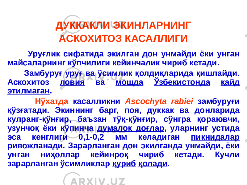 ДУККАКЛИ ЭКИНЛАРНИНГ АСКОХИТОЗ КАСАЛЛИГИ Уруғлик сифатида экилган дон унмайди ёки унган майсаларнинг кўпчилиги кейинчалик чириб кетади. Замбуруғ уруғ ва ўсимлик қолдиқларида қишлайди. Аскохитоз ловия ва мошда Ўзбекистонда қайд этилмаган . Нўхатда касалликни Ascochyta rabiei замбуруғи қўзғатади. Экиннинг барг, поя, дуккак ва донларида кулранг-қўнғир, баъзан тўқ-қўнғир, сўнгра қораювчи, узунчоқ ёки кўпинча думалоқ доғлар , уларнинг устида эса кенглиги 0,1-0,2 мм келадиган пикнидалар ривожланади. Зарарланган дон экилганда унмайди, ёки унган ниҳоллар кейинроқ чириб кетади. Кучли зарарланган ўсимликлар қуриб қолади . 