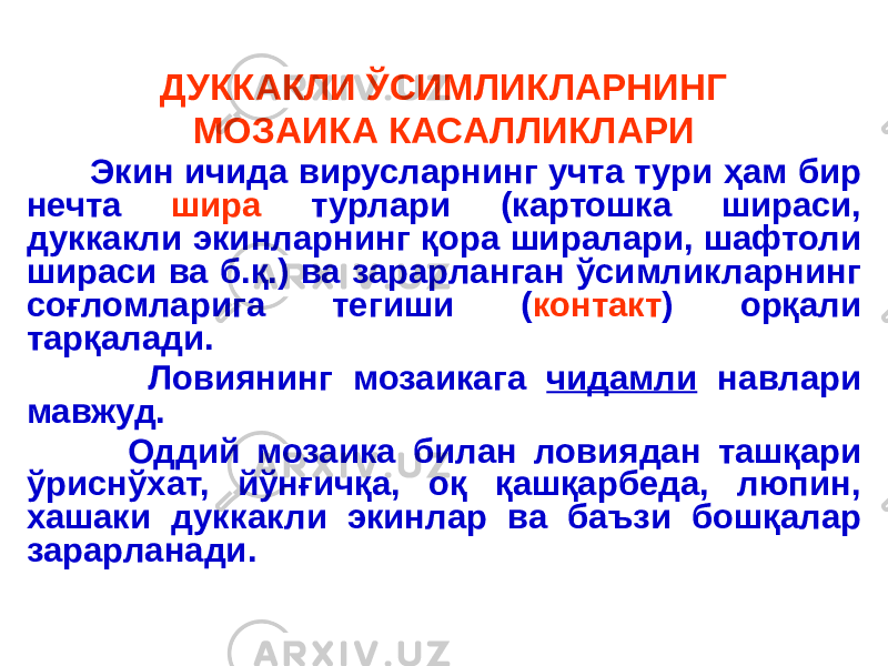 ДУККАКЛИ ЎСИМЛИКЛАРНИНГ МОЗАИКА КАСАЛЛИКЛАРИ Экин ичида вирусларнинг учта тури ҳам бир нечта шира турлари (картошка шираси, дуккакли экинларнинг қора ширалари, шафтоли шираси ва б.қ.) ва зарарланган ўсимликларнинг соғломларига тегиши ( контакт ) орқали тарқалади. Ловиянинг мозаикага чидамли навлари мавжуд. Оддий мозаика билан ловиядан ташқари ўриснўхат, йўнғичқа, оқ қашқарбеда, люпин, хашаки дуккакли экинлар ва баъзи бошқалар зарарланади. 