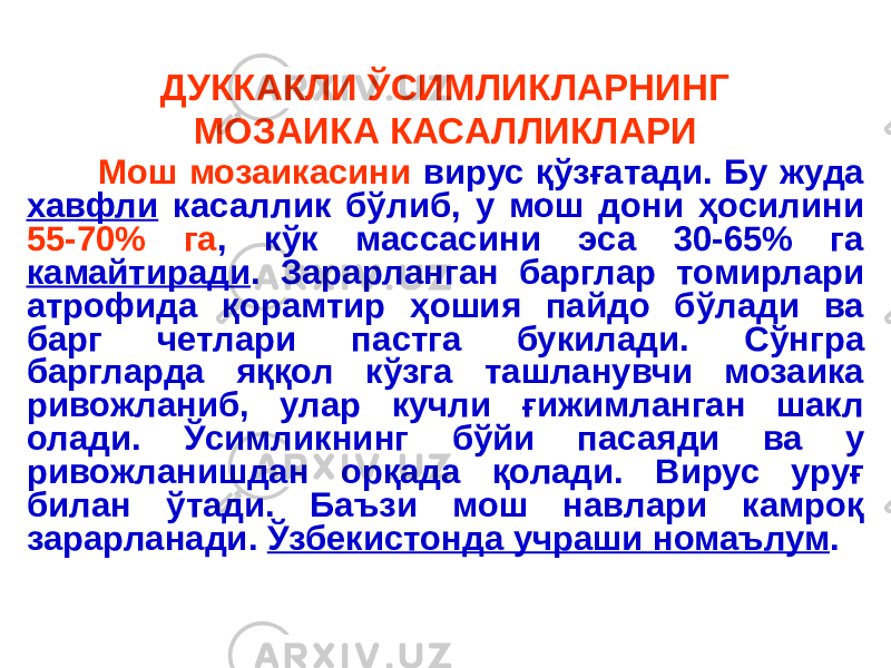 ДУККАКЛИ ЎСИМЛИКЛАРНИНГ МОЗАИКА КАСАЛЛИКЛАРИ Мош мозаикасини вирус қўзғатади. Бу жуда хавфли касаллик бўлиб, у мош дони ҳосилини 55-70% га , кўк массасини эса 30-65% га камайтиради . Зарарланган барглар томирлари атрофида қорамтир ҳошия пайдо бўлади ва барг четлари пастга букилади. Сўнгра баргларда яққол кўзга ташланувчи мозаика ривожланиб, улар кучли ғижимланган шакл олади. Ўсимликнинг бўйи пасаяди ва у ривожланишдан орқада қолади. Вирус уруғ билан ўтади. Баъзи мош навлари камроқ зарарланади. Ўзбекистонда учраши номаълум . 