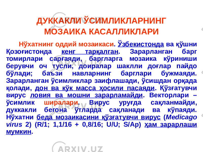 ДУККАКЛИ ЎСИМЛИКЛАРНИНГ МОЗАИКА КАСАЛЛИКЛАРИ Нўхатнинг оддий мозаикаси . Ўзбекистонда ва қўшни Қозоғистонда кенг тарқалган . Зарарланган барг томирлари сарғаяди, баргларга мозаика кўриниши берувчи оч тусли, доиралар шаклли доғлар пайдо бўлади; баъзи навларнинг барглари бужмаяди. Зарарланган ўсимликлар заифлашади, ўсишдан орқада қолади, дон ва кўк масса ҳосили пасаяди . Қўзғатувчи вирус ловия ва мошни зарарламайди . Векторлари – ўсимлик ширалари . Вирус уруғда сақланмайди, дуккакли бегона ўтларда сақланади ва кўпаяди. Нўхатни беда мозаикасини қўзғатувчи вирус ( Medicago virus 2) (R/1; 1,1/16 + 0,8/16; U/U; S/Ap) ҳам зарарлаши мумкин . 