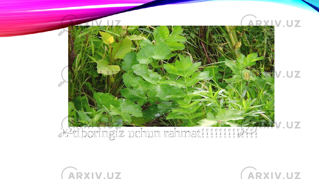 E’tiboringiz uchun rahmat!!!!!!!!!!!!! 