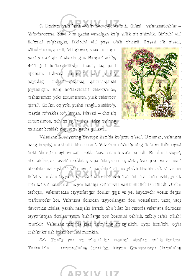 6. Dorivor valeriana – Valeriana officinalis L . Oilasi - valerianadoshlar – Valerianaceae , bœyi 2 m gacha yetadigan ko’p yillik o’t o’simlik. Birinchi yili ildizoldi to’pbarglar, ikkinchi yili poya o’sib chiqadi. Poyasi tik o’sadi, silindrsimon, qirrali, ichi g’ovak, shoxlanmagan yoki yuqori qismi shoxlangan. Barglari oddiy, 4-11 juft bo’lakchalardan iborat, toq patli ajralgan. Ildizoldi barglari uzun bandli, poyadagi bandlari qisqaroq, qarama-qarshi joylashgan. Barg bo’lakchalari chiziqsimon, nishtarsimon yoki tuxumsimon, yirik tishsimon qirrali. Gullari oq yoki pushti rangli, xushbo’y, mayda ro’vakka to’plangan. Mevasi – cho’ziq tuxumsimon, och qo’ng’ir pista. May oyining oxiridan boshlab avgust oyigacha gullaydi. Valeriana Rossiyaning Yevropa šismida ko’proq o’sadi. Umuman, valeriana keng tarqalgan o’simlik hisoblanadi. Valeriana o’simligining ildiz va ildizpoyasi tarkibida efir moyi va sof holda izovalerian kislota bo’ladi. Bundan tashqari, alkaloidlar, oshlovchi moddalar, saponinlar, qandlar, sirka, izokapron va chumoli kislotalar uchraydi. Ta’sir etuvchi moddalari efir moyi deb hisoblanadi. Valeriana ildizi va undan tayyorlangan dori shakllari asab tizimini tinchlantiruvchi, yurak urib ketishi holatlarida meyor holatga keltiruvchi vosita sifatida ishlatiladi. Undan tashqari, valerianadan tayyorlangan dorilar gijja va yel haydovchi vosita degan ma’lumotlar bor. Valeriana ildizidan tayyorlangan dori vositalarini uzoq vaqt davomida ichilsa, yaxshi natijalar beradi. Shu bilan bir qatorda valeriana ildizidan tayyorlangan dorilar, ayrim kishilarga qon bosimini oshirib, salbiy ta’sir qilishi mumkin. Valeriana ta’sirida asab tizimining qo’zg’alishi, uyqu buzilishi, og’ir tushlar ko’rish holati bo’lishi mumkin. 3.4. Тabiiy yod va vitaminlar manbai sifatida qo’llaniladiган Yodostirim – preparatining tarkibiga kirgan Qashqadaryo florasining 