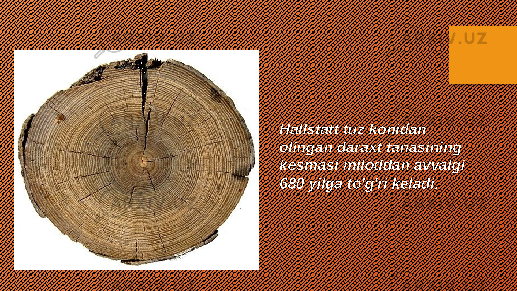 Hallstatt tuz konidan olingan daraxt tanasining kesmasi miloddan avvalgi 680 yilga to&#39;g&#39;ri keladi. 