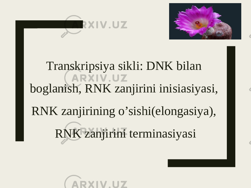 Trаnskripsiya sikli: DNK bilаn bоglаnish, RNK zаnjirini inisiаsiyasi, RNK zаnjirining o’sishi(elоngаsiya), RNK zаnjirini tеrminаsiyasi 