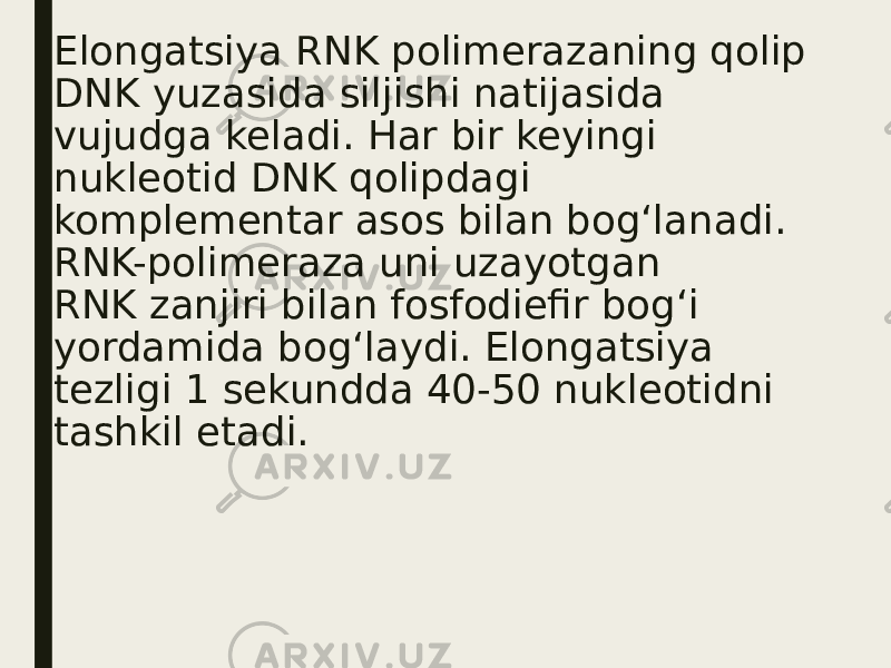 Elongatsiya RNK polimerazaning qolip DNK yuzasida siljishi natijasida vujudga keladi. Har bir keyingi nukleotid DNK qolipdagi komplementar asos bilan bog‘lanadi. RNK-polimeraza uni uzayotgan RNK zanjiri bilan fosfodiefir bog‘i yordamida bog‘laydi. Elongatsiya tezligi 1 sekundda 40-50 nukleotidni tashkil etadi. 