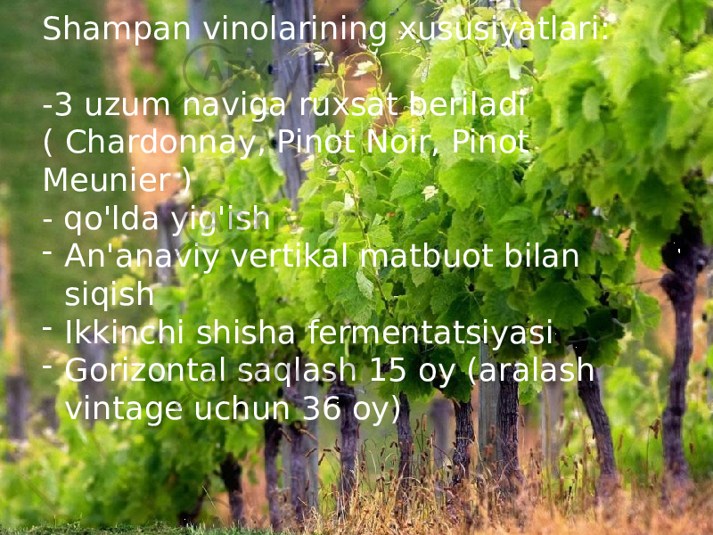 Shampan vinolarining xususiyatlari: - qo&#39;lda yig&#39;ish - An&#39;anaviy vertikal matbuot bilan siqish - Ikkinchi shisha fermentatsiyasi - Gorizontal saqlash 15 oy (aralash vintage uchun 36 oy) Shampan vinolarining xususiyatlari: -3 uzum naviga ruxsat beriladi ( Chardonnay, Pinot Noir, Pinot Meunier ) - qo&#39;lda yig&#39;ish - An&#39;anaviy vertikal matbuot bilan siqish - Ikkinchi shisha fermentatsiyasi - Gorizontal saqlash 15 oy (aralash vintage uchun 36 oy) 