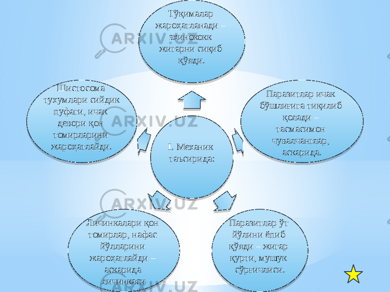 I. Механик таъсирида:Тўқималар жароҳатланади – эхинококк жигарни сиқиб қўяди. Паразитлар ичак бўшлиғига тиқилиб қолади – тасмасимон чувалчанглар, аскарида. Паразитлар ўт йўлини ёпиб қўяди – жигар қурти, мушук сўрғичлиси.Личинкалари қон томирлар, нафас йўлларини жароҳатлайди – аскарида личинкасиШистосома тухумлари сийдик пуфаги, ичак девори қон томирларини жароҳатлайди.4A020A 08 1E18 1B 31 1B 26 03040504 17 26 08 27 04 03040504 0C 26 26 1118052B 4107 08 0C 1B 04 1007 4B 08 14 16 08 1B 