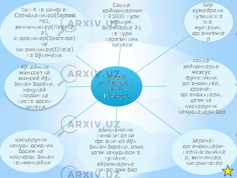 Содда ҳайвонлар типи – Protozoa Содда ҳайвонларнин г 25000 тури маълум, одамларда 25 та тури паразитлик қилади Бир ҳужайрали тузилишга эга мустақил организмла р содда ҳайвонларда махсус функцияли органоидлар, ҳаракат органоидлари, ҳазм ва қисқарувчи вакуолалари бор ҳаракат органоидлари- псевдоподияла р, хивчинлар, киприкчаларозиқланиши пиноцитоз ва фагоцитоз йўл билан боради, озиқ ҳазм вакуоласига тушади, айримларида цитостоми борқисқарувчи вакуол осмотик босим ва кислород билан таъминлайди Кўпайиши жинссиз ва жинсий йўл билан боради, ноқулай шароитда циста ҳосил қиладиТип 4 та синфга: Саркодалилар(Sarcodi na), хивчинлилар(Flagellat a), споралилар(Sporazoa) ва киприклилар(Ciliata) га бўлинади.3A 0D05 0D05 16 0E 0F 1D05 12 