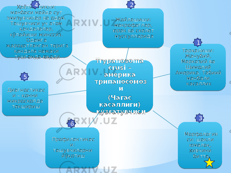 Trypanosoma crusi – америка трипаносомоз и (Чагас касаллиги) қўзғатувчиси Жойлашиши: макрофаглар, юрак ва скелет мускулларида Тарқалиши: Жанубий, Марказий ва Шимолий Америка. Табиий манбали касаллик Морфология си: шакли юмалоқ, хивчини биттаПрофилактикас и: ташувчиларни йўқотишДиагностикас и – қонни микроскопда текшириш Ҳаётий цикли: манбаси майда сут эмизувчилар ва одам. Ташувчиси уч атом қандалалар, кўпайиши жинссиз. Одамга жароҳатланган терига қандала нажаси тушганда юқади 4 5 6 2 3151 48 05 0E0D 08 2F 11 07 69 14 59 14 1F 69 310203 6805 61 14 17 3107 11 59 26 16 01 05 06 19 5205 05 14 06 2A 14 27 1F 12 17 371A 0D0203 12 06 