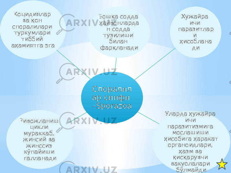 Споралил ар синфи –Sporazoa Бошқа содда ҳайвонларда н содда тузилиши билан фарқланади Ҳужайра ичи паразитлар и ҳисоблана ди Уларда ҳужайра ичи паразитизмига мослашиши ҳисобига ҳаракат органоидлари, ҳазм ва қисқарувчи вакуолалари бўлмайдиРивожланиш цикли мураккаб, жинсий ва жинссиз кўпайиши галланадиКоцидиялар ва қон споралилари туркумлари тиббий аҳамиятга эга 