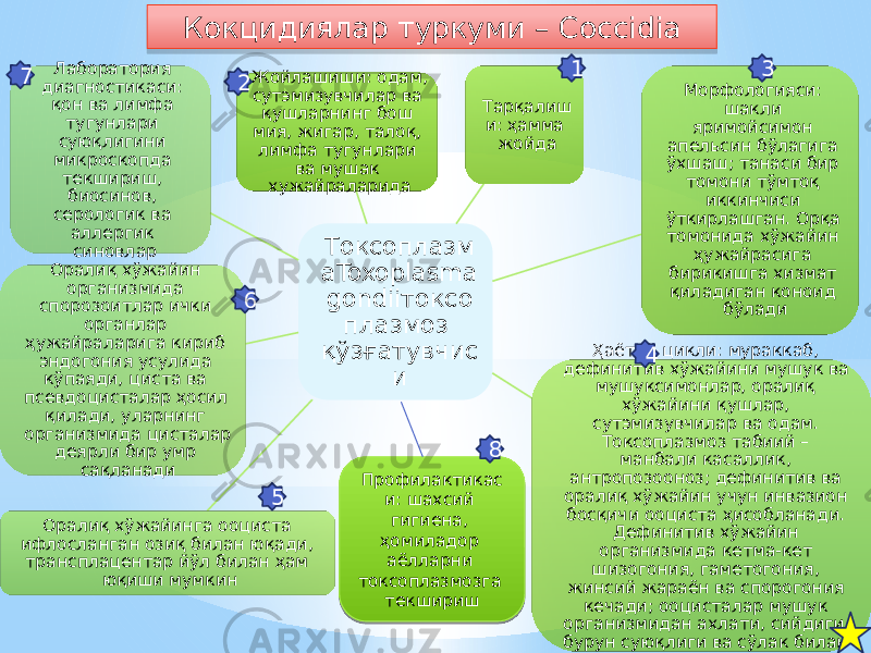 Кокцидиялар туркуми – Coccidia Токсоплазм аToxoplasma gondiiтоксо плазмоз қўзғатувчис иЖойлашиши: одам, сутэмизувчилар ва қушларнинг бош мия, жигар, талоқ, лимфа тугунлари ва мушак хужайраларида Тарқалиш и: ҳамма жойда Морфологияси: шакли яримойсимон апельсин бўлагига ўхшаш; танаси бир томони тўмтоқ иккинчиси ўткирлашган. Орқа томонида хўжайин ҳужайрасига бирикишга хизмат қиладиган коноид бўлади Ҳаётий цикли: мураккаб, дефинитив хўжайини мушук ва мушуксимонлар, оралиқ хўжайини қушлар, сутэмизувчилар ва одам. Токсоплазмоз табиий – манбали касаллик, антропозооноз; дефинитив ва оралиқ хўжайин учун инвазион босқичи ооциста ҳисобланади. Дефинитив хўжайин организмида кетма-кет шизогония, гаметогония, жинсий жараён ва спорогония кечади; ооцисталар мушук организмидан ахлати, сийдиги, бурун суюқлиги ва сўлак билан чиқадиОралиқ хўжайинга ооциста ифлосланган озиқ билан юқади, трансплацентар йўл билан ҳам юқиши мумкинОралиқ хўжайин организмида спорозоитлар ички органлар ҳужайраларига кириб эндогония усулида кўпаяди, циста ва псевдоцисталар ҳосил қилади, уларнинг организмида цисталар деярли бир умр сақланадиЛаборатория диагностикаси: қон ва лимфа тугунлари суюқлигини микроскопда текшириш, биосинов, серологик ва аллергик синовлар Профилактикас и: шахсий гигиена, ҳомиладор аёлларни токсоплазмозга текшириш27 6 5 8 1 4 33A 01 051E0B 09 10 02 06 06 