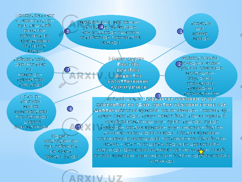 Жигар қурти – Fasсiola hepatica фациолоз касаллигининг қўзғатувчисижойлашиши: жигарнинг ўт йўлида, ўт қопида. Кам ҳолларда ошқозон ости безида паразитлик қилади тарқали ши: ҳамма жойда морфологияси: бачадони қорин сўрғичи орқасида жойлашган. Уруғдони, сариқлиги, тухумдони тармоқланган ҳаётий цикли: Дефинитив хўжайин ўтхўр ҳайвонлар ва одам, оралиқ хўжайин кичик сув шиллиғи; Асосий хўжайин организмидан паразит кўп тухум ажратади, тухум нажас била ташқи муҳитга чиқиб ривожланиш учун сувга тушади, сувда тухумдан оралиқ хўжайин учун инвазион бўлган личинка мирацидий чиқади. Оралиқ хўжайин организмида мирацидий партеногенез йўли билан кетма – кет спорациста, редия ва церкарийга айланади. Церкарий молюска организмидан чиқиб, асосий хўжайин учун инвазион бўлган аделоскарийга айланади.Одамга ифлосланган сув, сабзавот ва кўкат орқали ўтадипатоген таъсири: жигар ҳужайралари парчаланади , цирроз ривожланадилаборатория диагностика си: нажасдан тухумлари топиладипрофилактикас и: қайнатилган сув, яхшилаб ювилган сабзавот ва кўкатларни истеъмол қилиш 1 2 34 5678 