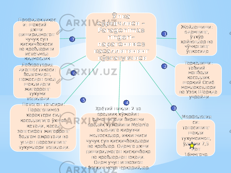 Ўпка сўрғичлиси – Paragonimus ringeri– парагонимоз касаллигининг қўзғатувчиси Жойлашиши: одамнинг, ўтхўр ҳайвонлар ва чўчқанинг ўпкасида Тарқалиши: табиий – манбали касаллик шарқий Осиё мамлакатлари ва Узоқ Шарқда учрайди Морфология си: танасининг шакли тухумсимон, ўлчами 7,5 дан 16ммгача.Ҳаётий цикли: 2 та оралииқ хўжайин алмашинади биринчи оралиқ хўжайини Melania авлодига кирувчи молюскалар, иккинчиси чучук сув қисқичбақалари ва краблар. Одамга яхши пиширилмаган қисқичбақа ва краблардан юқади. Одам учун инвазион босқич метацеркарийлар.Патоген таъсири: Парагонимоз характери сил касаллигига ўхшаб кетади, касал зангсифат жигарранг балғам ажратади ва ундан паразитнинг тухумлари топилади. Лаборатория диагностикаси: балғамдан, нажасдан овал шаклидаги жигарранг тухуми топиладиПрофилактикас и: шахсий – яхши пиширилмаган чучук сув қисқичбақаси ва крабларини истеъмол қилмаслик 1 2 34567 