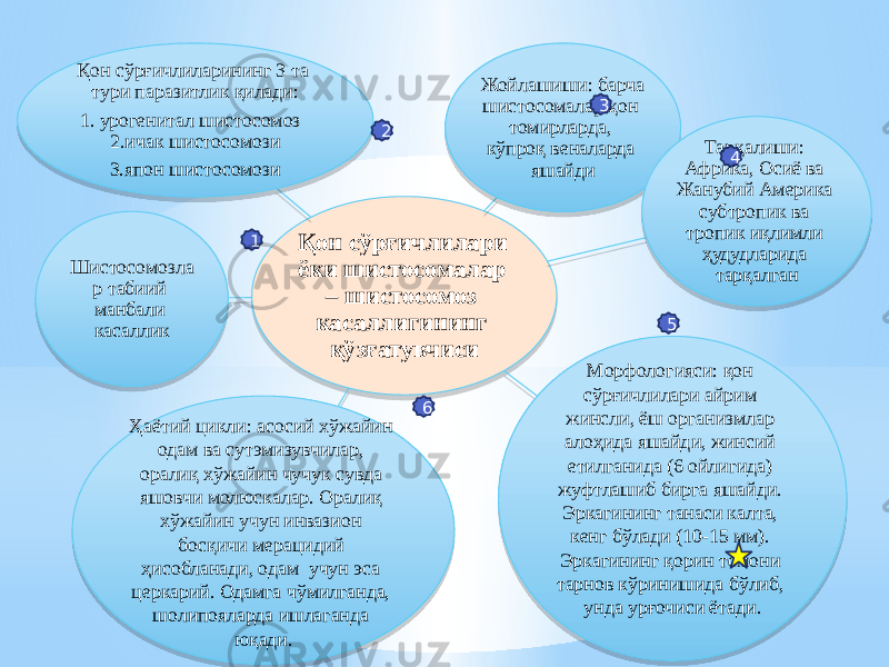 Қон сўрғичлилари ёки шистосомалар – шистосомоз касаллигининг қўзғатувчиси Жойлашиши: барча шистосомалар қон томирларда, кўпроқ веналарда яшайди Тарқалиши: Африка, Осиё ва Жанубий Америка субтропик ва тропик иқлимли ҳудудларида тарқалган Морфологияси: қон сўрғичлилари айрим жинсли, ёш организмлар алоҳида яшайди, жинсий етилганида (6 ойлигида) жуфтлашиб бирга яшайди. Эркагининг танаси калта, кенг бўлади (10-15 мм). Эркагининг қорин томони тарнов кўринишида бўлиб, унда урғочиси ётади.Ҳаётий цикли: асосий хўжайин одам ва сутэмизувчилар, оралиқ хўжайин чучук сувда яшовчи молюскалар. Оралиқ хўжайин учун инвазион босқичи мерацидий ҳисобланади, одам учун эса церкарий. Одамга чўмилганда, шолипояларда ишлаганда юқади.Шистосомозла р табиий манбали касалликҚон сўрғичлиларининг 3 та тури паразитлик қилади: 1. урогенитал шистосомоз 2.ичак шистосомози 3.япон шистосомози 1 2 3 4 5 63B 15 3C 09 28 3E 19 08 20 24 1E 44 3E 11 08 0B 08 37 111805 1B 04 1F08 1B 67 20 67 08 1C 45 0E 0E05 24 1A 17 0B 21 19 36 4B 050A08 09 20 49 08 01 1D 220224 