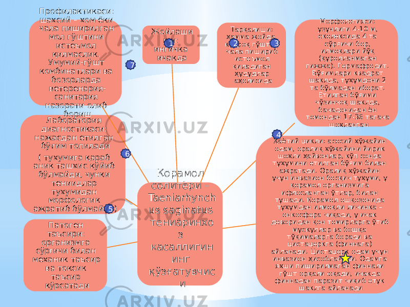 Қорамол солитёри – Taeniarhynch us saginatus тениаринхо з касаллигин инг қўзғатувчис иЖойлаши ши: ингичка ичакда Тарқалиши: ҳамма жойда, кўпроқ гўштни чала пишириб истеъмол қиладиган ҳудудлар аҳолисида Морфологияси: узунлиги 4-10 м, сколексида 4 та сўрғичи бор, илмоқлари йўқ (қуролланмаган гижжа). Гермафродит. Бўғимлари квадрат шаклда, тухумдони 2 та бўлмадан иборат. Етилган бўғими чўзинчоқ шаклда, бачадонидан ён томондан 17-36 тагача шохланган Ҳаётий цикли: асосий хўжайин одам, оралиқ хўжайини йирик шохли ҳайвонлар, кўп сонда тухумини етилган бўғим билан ажратади. Оралиқ хўжайин учун инвазион босқич тухуми, у қорамол организмига ифлосланган ўтлар, билан тушади. Қорамол ошқозонида тухумдан илмоқли личинка – онкосфера чиқади, у ичак деворидан қон томирларга ўтиб мускуллар ва бошқа тўқималарга боради ва цистацеркга (финнага) айланади. Цистацерк одам учун инвазион ҳисобланади. Одамга яхши пиширилмаган финнали гўшт орқали юқади, ичакда финнадан паразит чиқиб етук шаклга айланадиПатоген таъсири: организмга сўр ғ ичи билан механик таъсир ва токсик таъсир кўрсатади Лаборатория диагностикаси: нажасдан етилган бўғим топилади ( тухумига қараб аниқ ташхис қўйиб бўлмайди, чунки тениидлар тухумидан морфологик ажратиб бўлмайди) Профилактикаси: шахсий – хом ёки чала пиширилган мол гўштини истеъмол қилмаслик. Умумий-гўшт комбинатлари ва бозорларда ветеренария- санитария назорати олиб бориш 1 2 3 4 5 6 7 