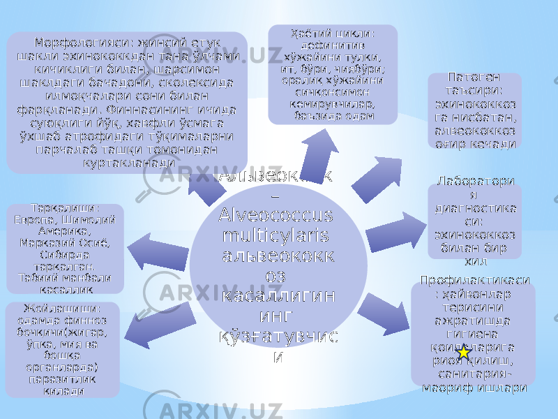 Альвеококк – Alveococcus multicylaris альвеококк оз касаллигин инг қўзғатувчис иЖойлашиши: одамда финноз бочқичи(жигар, ўпка, мия ва бошқа органларда) паразитлик қиладиТарқалиши: Европа, Шимолий Америка, Марказий Осиё, Сибирда тарқалган. Табиий манбали касалликМорфологияси: жинсий етук шакли эхинококкдан тана ўлчами кичиклиги билан, шарсимон шаклдаги бачадони, сколексида илмоқчалари сони билан фарқланади. Финнасининг ичида суюқлиги йўқ, хавфли ўсмага ўхшаб атрофидаги тўқималарни парчалаб ташқи томонидан куртакланади Ҳаётий цикли: дефинитив хўжайини тулки, ит, бўри, чиябўри; оралиқ хўжайини сичқонсимон кемирувчилар, баъзида одам Патоген таъсири: эхинококкоз га нисбатан, алвеококкоз оғир кечади Лаборатори я диагностика си: эхинококкоз билан бир хил Профилактикаси : ҳайвонлар терисини ажратишда гигиена қоидаларига риоя қилиш, санитария- маориф ишлари 