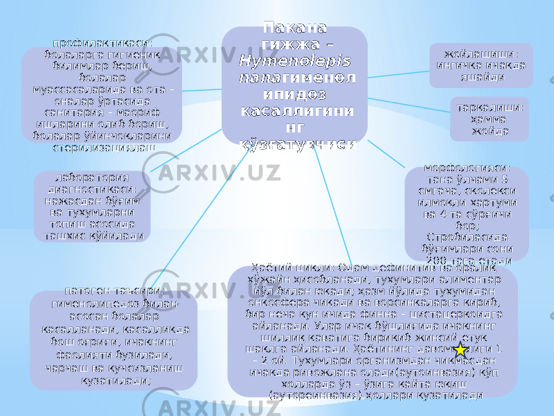 Пакана гижжа – Hymenolepis nana гименол ипидоз касаллигини нг қўзғатувчиси жойлашиши: ингичка ичакда яшайди тарқалиши: ҳамма жойда морфологияси: тана ўлчами 5 смгача, сколекси илмоқли хартуми ва 4 та сўрғичи бор; Стробиласида бўғимлари сони 200 тага етади Ҳаётий цикли: Одам дефинитив ва оралиқ хўжайн ҳисобланади, тухумлари алиментар йўл билан юқади; ҳазм йўлида тухумидан онкосфера чиқади ва ворсинкаларга кириб, бир неча кун ичида финна – цистацеркоидга айланади. Улар ичак бўшлиғида ичакнинг шиллиқ қаватига бирикиб жинсий етук шаклга айланади. Ҳаётининг давомийлиги 1 – 2 ой. Тухумлари организмдан чиқмасдан ичакда ривожлана олади(аутоинвазия) кўп холларда ўз – ўзига қайта юқиш (аутореинвазия) ҳоллари кузатиладипатоген таъсири: гименолипедоз билан асосан болалар касалланади, касалликда бош оғриғи, ичакнинг фаолияти бузилади, чарчаш ва кучсизланиш кузатилади;лаборатория диагностикаси: нажасдан бўғим ва тухумларни топиш асосида ташхис қўйилади профилактикаси: болаларга гигиеник билимлар бериш, болалар муассасаларида ва ота – оналар ўртасида санитария – маориф ишларини олиб бориш, болалар ўйинчоқларини стерилизациялаш 