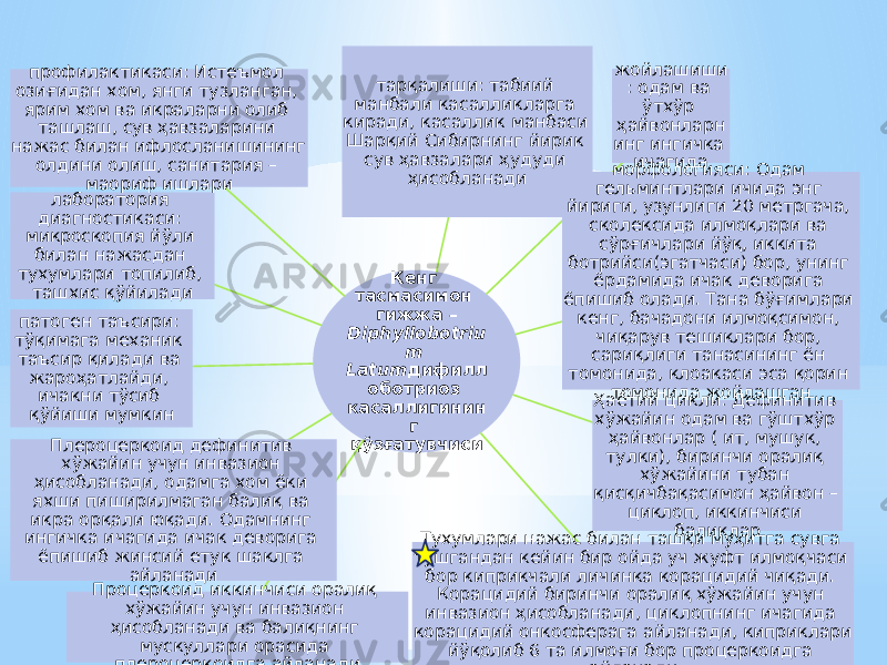 Кенг тасмасимон гижжа – Diphyllobotriu m Latum дифилл оботриоз касаллигинин г қўзғатувчиси жойлашиши : одам ва ўтхўр ҳайвонларн инг ингичка ичагидатарқалиши: табиий манбали касалликларга киради, касаллик манбаси Шарқий Сибирнинг йирик сув ҳавзалари ҳудуди ҳисобланади морфологияси: Одам гельминтлари ичида энг йириги, узунлиги 20 метргача, сколексида илмоқлари ва сўрғичлари йўқ, иккита ботрийси(эгатчаси) бор, унинг ёрдамида ичак деворига ёпишиб олади. Тана бўғимлари кенг, бачадони илмоқсимон, чиқарув тешиклари бор, сариқлиги танасининг ён томонида, клоакаси эса қорин томонида жойлашган Ҳаётий цикли: Дефинитив хўжайин одам ва гўштхўр ҳайвонлар ( ит, мушук, тулки), биринчи оралиқ хўжайини тубан қисқичбақасимон ҳайвон – циклоп, иккинчиси балиқлар Тухумлари нажас билан ташқи муҳитга сувга тушгандан кейин бир ойда уч жуфт илмоқчаси бор киприкчали личинка корацидий чиқади. Корацидий биринчи оралиқ хўжайин учун инвазион ҳисобланади, циклопнинг ичагида корацидий онкосферага айланади, киприклари йўқолиб 6 та илмоғи бор процеркоидга айланадиПроцеркоид иккинчиси оралиқ хўжайин учун инвазион ҳисобланади ва балиқнинг мускуллари орасида плероцеркоидга айланадиПлероцеркоид дефинитив хўжайин учун инвазион ҳисобланади, одамга хом ёки яхши пиширилмаган балиқ ва икра орқали юқади. Одамнинг ингичка ичагида ичак деворига ёпишиб жинсий етук шаклга айланадипатоген таъсири: тўқимага механик таъсир қилади ва жароҳатлайди, ичакни тўсиб қўйиши мумкин лаборатория диагностикаси: микроскопия йўли билан нажасдан тухумлари топилиб, ташхис қўйиладипрофилактикаси: Истеъмол озиғидан хом, янги тузланган, ярим хом ва икраларни олиб ташлаш, сув ҳавзаларини нажас билан ифлосланишининг олдини олиш, санитария – маориф ишлари 