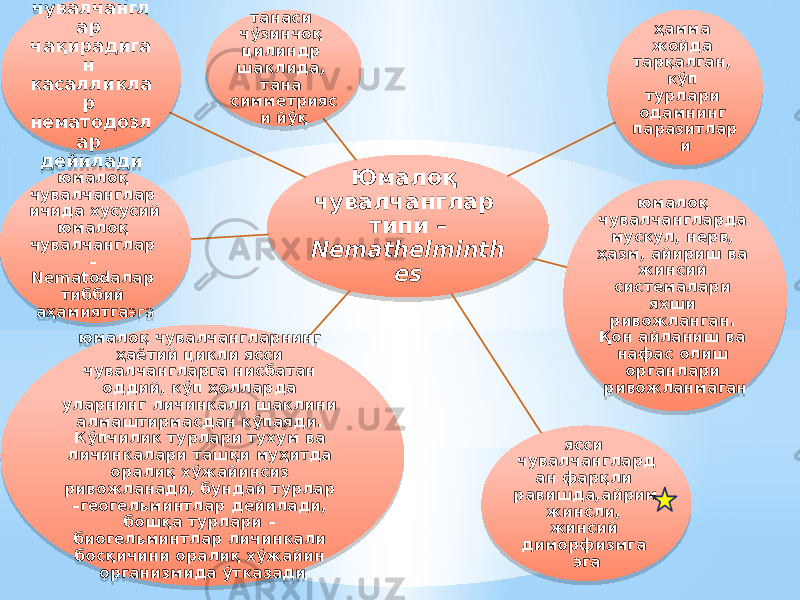 Юмалоқ чувалчанглар типи – Nemathelminth esтанаси чўзинчоқ цилиндр шаклида, тана симметрияс и йўқ ҳамма жойда тарқалган, кўп турлари одамнинг паразитлар и юмалоқ чувалчангларда мускул, нерв, ҳазм, айириш ва жинсий системалари яхши ривожланган. Қон айланиш ва нафас олиш органлари ривожланмаган ясси чувалчанглард ан фарқли равишда,айрим жинсли, жинсий диморфизмга эгаюмалоқ чувалчангларнинг ҳаётий цикли ясси чувалчангларга нисбатан оддий, кўп ҳолларда уларнинг личинкали шаклини алмаштирмасдан кўпаяди. Кўпчилик турлари тухум ва личинкалари ташқи муҳитда оралиқ хўжайинсиз ривожланади, бундай турлар –геогельминтлар дейилади, бошқа турлари – биогельминтлар личинкали босқичини оралиқ хўжайин организмида ўтказадиюмалоқ чувалчанглар ичида хусусий юмалоқ чувалчанглар – Nematodaлар тиббий аҳамиятга эгаюмалоқ чувалчангл ар чақирадига н касалликла р нематодозл ар дейилади6E 16 0E 14 04 0E05 1619 2A 21 0E 180817 08 43 49 0E 11 0E 0C 12 08 5A 160F 17 43 49 18 062D 0D 15 09 0C 0D 0618 160F 05 0D 49 49 0B0817 5704 5A 43 160F 0C 0F 05 1D 14 0C 0D 28 1F 1F 1F 0C 5A 160F 081608 5A 160F 28 6F 0E 05 27 5A 16 050D 16 09 11 0D 09 050D 0B 