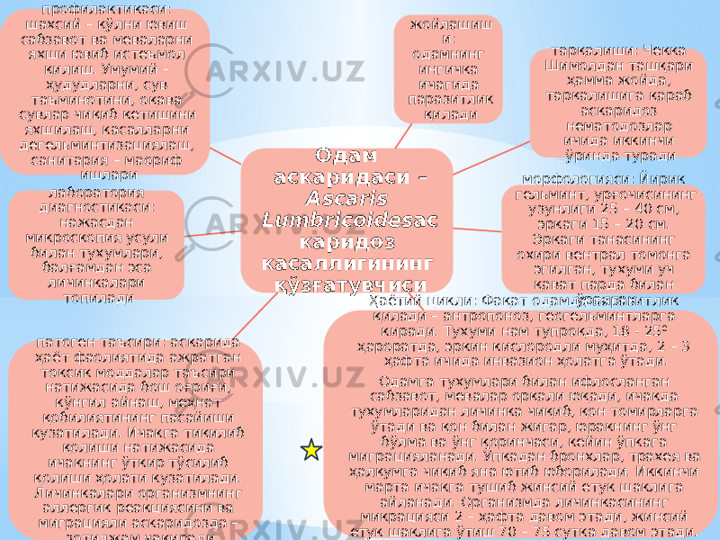 Одам аскаридаси – Ascаris Lumbricoides ас каридоз касаллигининг қўзғатувчиси жойлашиш и: одамнинг ингичка ичагида паразитлик қилади тарқалиши: Чекка Шимолдан ташқари ҳамма жойда, тарқалишига қараб аскаридоз нематодозлар ичида иккинчи ўринда туради морфологияси: Йирик гельминт, урғочисининг узунлиги 25 – 40 см, эркаги 15 – 20 см. Эркаги танасининг охири вентрал томонга эгилган, тухуми уч қават парда билан ўралган Ҳаётий цикли: Фақат одамда паразитлик қилади – антропоноз, геогельминтларга киради. Тухуми нам тупроқда, 18 - 25⁰ ҳароратда, эркин кислородли муҳитда, 2 – 3 ҳафта ичида инвазион ҳолатга ўтади. Одамга тухумлари билан ифлосланган сабзавот, мевалар орқали юқади, ичакда тухумларидан личинка чиқиб, қон томирларга ўтади ва қон билан жигар, юракнинг ўнг бўлма ва ўнг қоринчаси, кейин ўпкага миграцияланади. Ўпкадан бронхлар, трахея ва ҳалқумга чиқиб яна ютиб юборилади. Иккинчи марта ичакга тушиб жинсий етук шаклига айланади. Организмда личинкасининг микрацияси 2 – ҳафта давом этади, жинсий етук шаклига ўтиш 70 – 75 сутка давом этади. Етук шакли организмда 1 – йилга яқин яшайдипатоген таъсири: аскарида ҳаёт фаолиятида ажратган токсик моддалар таъсири натижасида бош оғриғи, кўнгил айнаш, меҳнат қобилиятининг пасайиши кузатилади. Ичакга тиқилиб қолиши натижасида ичакнинг ўткир тўсилиб қолиши ҳолати кузатилади. Личинкалари организмнинг аллергик реакциясини ва миграцияли аскаридозда – зотилжам чақирадилаборатория диагностикаси: нажасдан микроскопия усули билан тухумлари, балғамдан эса личинкалари топиладипрофилактикаси: шахсий – қўлни ювиш сабзавот ва меваларни яхши ювиб истеъмол қилиш. Умумий – ҳудудларни, сув таъминотини, оқава сувлар чиқиб кетишини яхшилаш, касалларни дегельминтизациялаш, санитария – маориф ишлари 