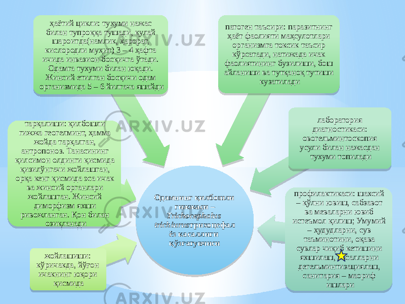 Одамнинг қилбошли гижжаси – Trichocephalus trichiurus трихоцефал ёз касаллиги қўзғатувчиси жойлашиши: кўричакда, йўғон ичакнинг юқори қисмидатарқалиши: қилбошли гижжа геогелминт, ҳамма жойда тарқалган, антропоноз. Танасининг қилсимон олдинги қисмида қизилўнгачи жойлашган, орқа кенг қисмида эса ичак ва жинсий органлари жойлашган. Жинсий диморфизм яхши ривожланган. Қон билан озиқланади ҳаётий цикли: тухуми нажас билан тупроққа тушади, қулай шароитда(намлик, ҳарорат, кислородли муҳит) 3 – 4 ҳафта ичида инвазион босқичга ўтади. Одамга тухуми билан юқади. Жинсий етилган босқичи одам организмида 5 – 6 йилгача яшайди патоген таъсири: паразитнинг ҳаёт фаолияти маҳсулотлари организмга токсик таъсир кўрсатади, натижада ичак фаолиятининг бузилиши, бош айланиши ва тутқаноқ тутиши кузатилади лаборатория диагностикаси: овогельминтоскопия усули билан нажасдан тухуми топилади профилактикаси: шахсий – қўлни ювиш, сабзавот ва меваларни ювиб истеъмол қилиш; Умумий – ҳудудларни, сув таъминотини, оқава сувлар чиқиб кетишини яхшилаш, касалларни дегельминтизациялаш, санитария – маориф ишлари29 11 28 1B 07 15 28 1B 20 07 26 08 15 1B 04 26 26 0E05 0D 1B 16 05 0E06 0B 17 19 20 07 25 3E 0E 14 0B 0E 20 1204 04 20 10 16 0E 1C 08 14 2F 0D 07 2F 08 11 24 16 11 07 