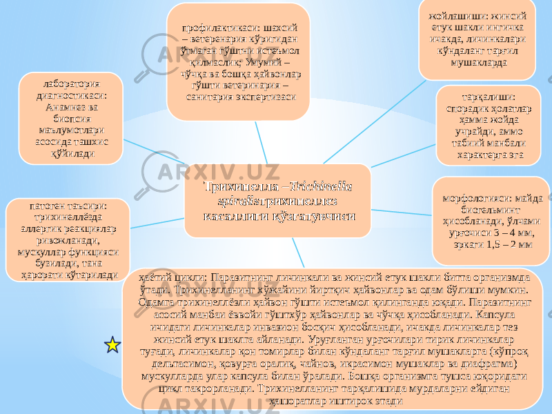 Трихинелла – Trichinella spiralis трихинеллез касаллиги қўзғатувчиси жойлашиши: жинсий етук шакли ингичка ичакда, личинкалари кўндаланг тарғил мушакларда тарқалиши: спорадик ҳолатлар ҳамма жойда учрайди, аммо табиий манбали характерга эга морфологияси: майда биогельминт ҳисобланади, ўлчами урғочиси 3 – 4 мм, эркаги 1,5 – 2 мм ҳаётий цикли: Паразитнинг личинкали ва жинсий етук шакли битта организмда ўтади. Трихинелланинг хўжайини йиртқич ҳайвонлар ва одам бўлиши мумкин. Одамга трихинеллёзли ҳайвон гўшти истеъмол қилинганда юқади. Паразитнинг асосий манбаи ёввойи гўштхўр ҳайвонлар ва чўчқа ҳисобланади. Капсула ичидаги личинкалар инвазион босқич ҳисобланади, ичакда личинкалар тез жинсий етук шаклга айланади. Уруғланган урғочилари тирик личинкалар туғади, личинкалар қон томирлар билан кўндаланг тарғил мушакларга (кўпроқ дельтасимон, қовурға оралиқ, чайнов, икрасимон мушаклар ва диафрагма) мускулларда улар капсула билан ўралади. Бошқа организмга тушса юқоридаги цикл такрорланади. Трихинелланинг тарқалишида мурдаларни ейдиган ҳашоратлар иштирок этадипатоген таъсири: трихинеллёзда аллергик реакциялар ривожланади, мускуллар функцияси бузилади, тана ҳарорати кўтарилади лаборатория диагностикаси: Анамнез ва биопсия маълумотлари асосида ташхис қўйилади профилактикаси: шахсий – ветеренария кўригидан ўтмаган гўштни истеъмол қилмаслик; Умумий – чўчқа ва бошқа ҳайвонлар гўшти ветеринария – санитария экспертизаси 