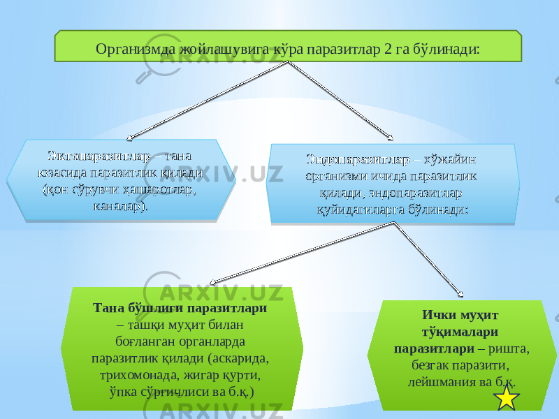 Эктопаразитлар – тана юзасида паразитлик қилади (қон сўрувчи ҳашаротлар, каналар). Эндопаразитлар – хўжайин организми ичида паразитлик қилади, эндопаразитлар қуйидагиларга бўлинади: Тана бўшлиғи паразитлари – ташқи муҳит билан боғланган органларда паразитлик қилади (аскарида, трихомонада, жигар қурти, ўпка сўрғичлиси ва б.қ.) Ички муҳит тўқималари паразитлари – ришта, безгак паразити, лейшмания ва б.қ.Организмда жойлашувига кўра паразитлар 2 га бўлинади:3209 0A 36 3426 20 320B 0A 0E051504 26 26 