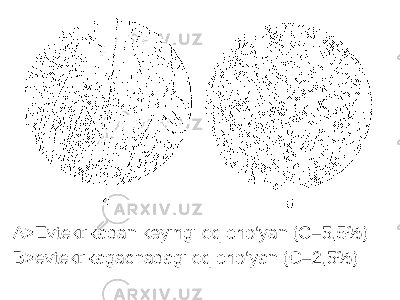 A>Evtektikadan keyingi oq cho‘yan (C=5,5%) B>evtektikagachadagi oq cho‘yan (C=2,5%) 