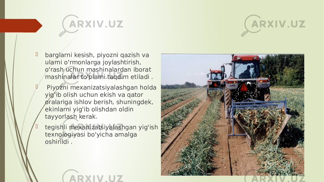  barglarni kesish, piyozni qazish va ularni o&#39;rmonlarga joylashtirish, o&#39;rash uchun mashinalardan iborat mashinalar to&#39;plami taqdim etiladi .  Piyozni mexanizatsiyalashgan holda yig&#39;ib olish uchun ekish va qator oralariga ishlov berish, shuningdek, ekinlarni yig&#39;ib olishdan oldin tayyorlash kerak.  tegishli mexanizatsiyalashgan yig&#39;ish texnologiyasi bo&#39;yicha amalga oshirildi . 